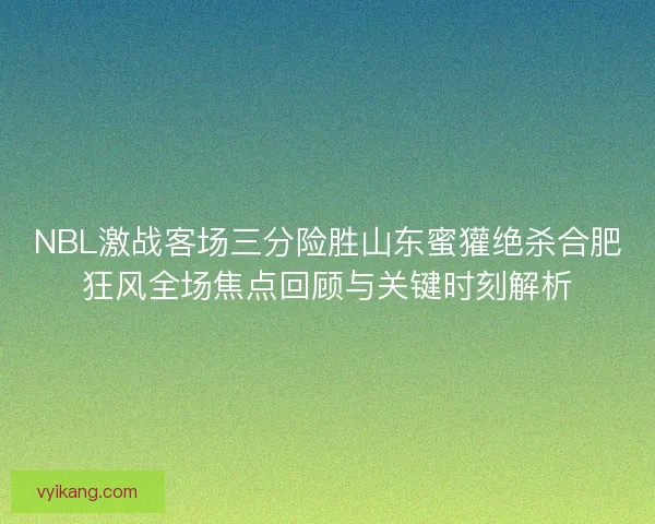 NBL激战客场三分险胜山东蜜獾绝杀合肥狂风全场焦点回顾与关键时刻解析