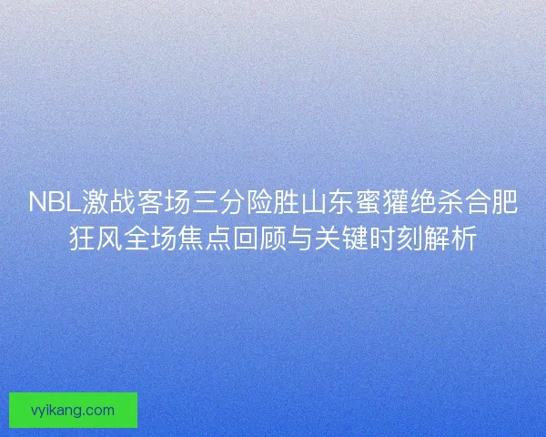 NBL激战客场三分险胜山东蜜獾绝杀合肥狂风全场焦点回顾与关键时刻解析